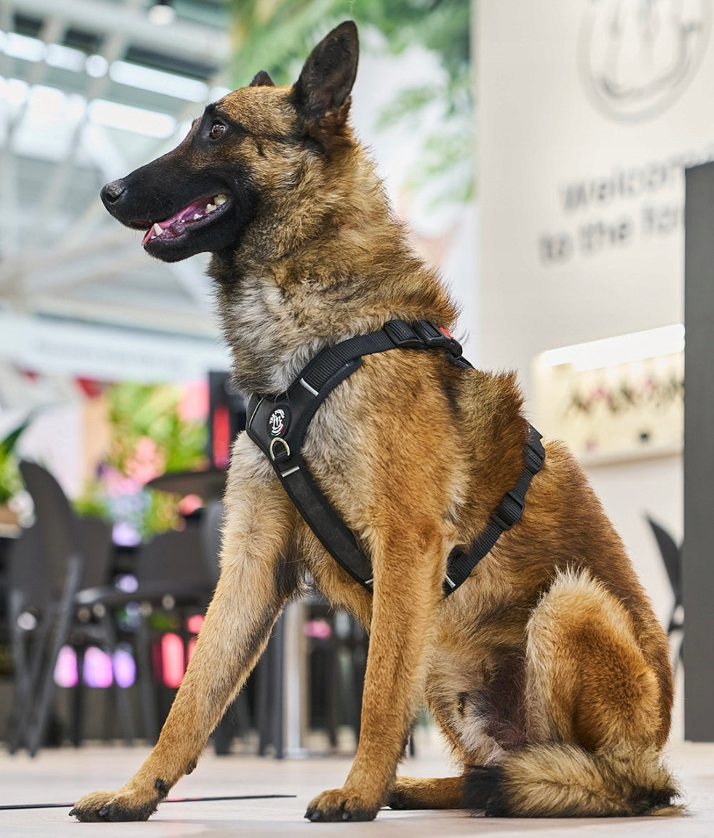 Dog Harness XXL 90-110cm Shepherd Rottweiler TRE PONTI GUARD black Manufacturer code Y880XXL