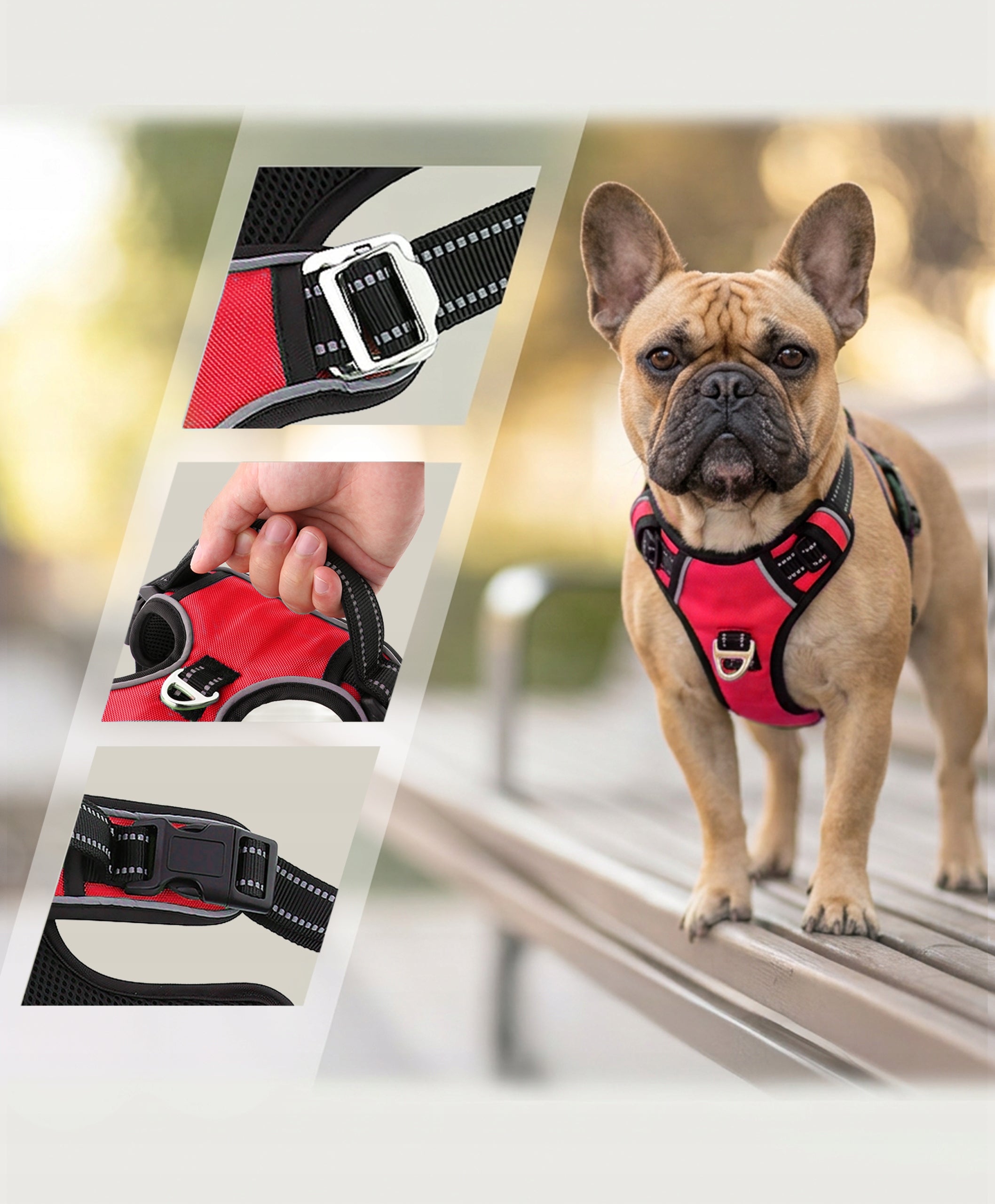 Dog Harness for Learning to Walk Reflective Guard HUGGY DOGGY Strong M Manufacturer code Szelki dla psów HUGGY DOGGY Walky Guard