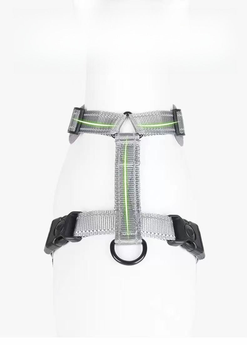 Dog Harness for Medium Giant Puppy Harness and Leash Set (Orange, M) Color orange