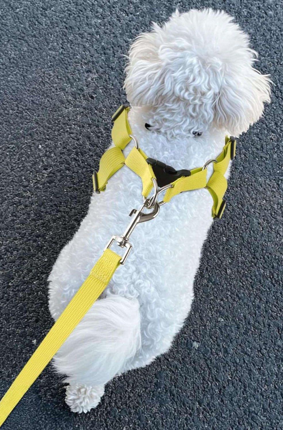 Dog Harness with Lanyard Reflective Adjustable Soft M Yellow Manufacturer code B0DS8HQYV9