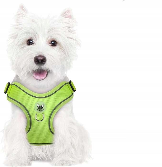Dog Harness with Reflective Walking Leash Adjustable Soft M Green