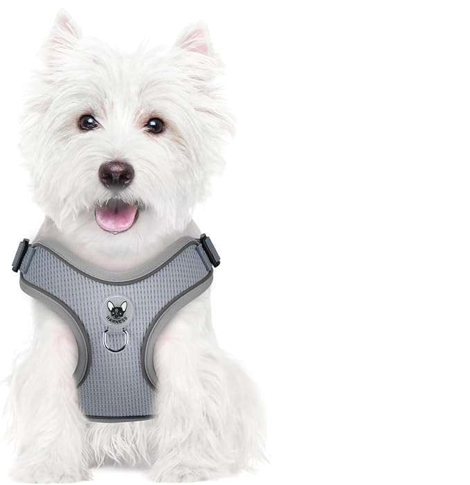 Dog Harness with Reflective Walking Leash Adjustable Soft M Grey