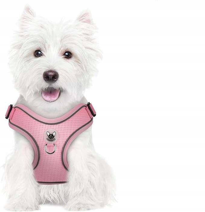 Dog Harness with Reflective Walking Leash Adjustable Soft S Pink