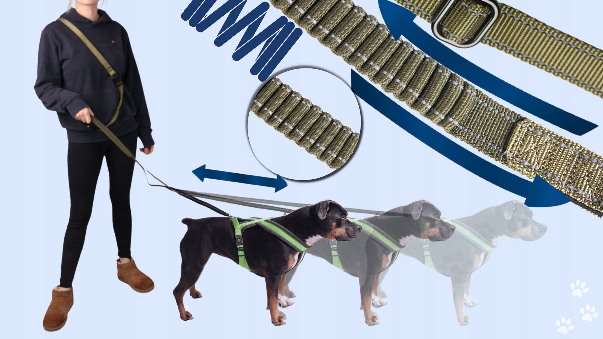 Dog Lanyard for Running with Shock Absorber Retractable Training Adjustable Packaging status original