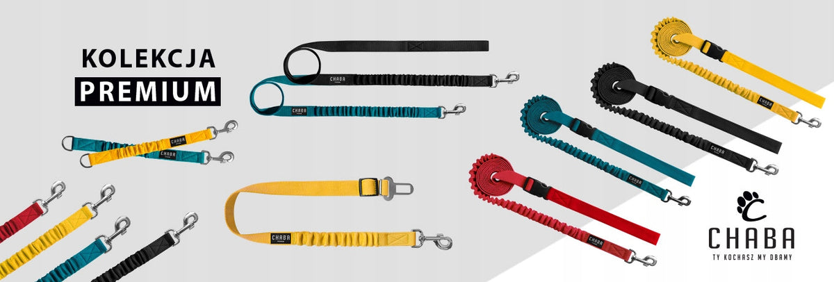 Dog Lanyard with Shock Absorber - Red Brand Chaba