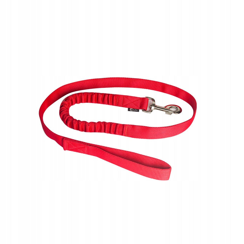 Dog Lanyard with Shock Absorber - Red