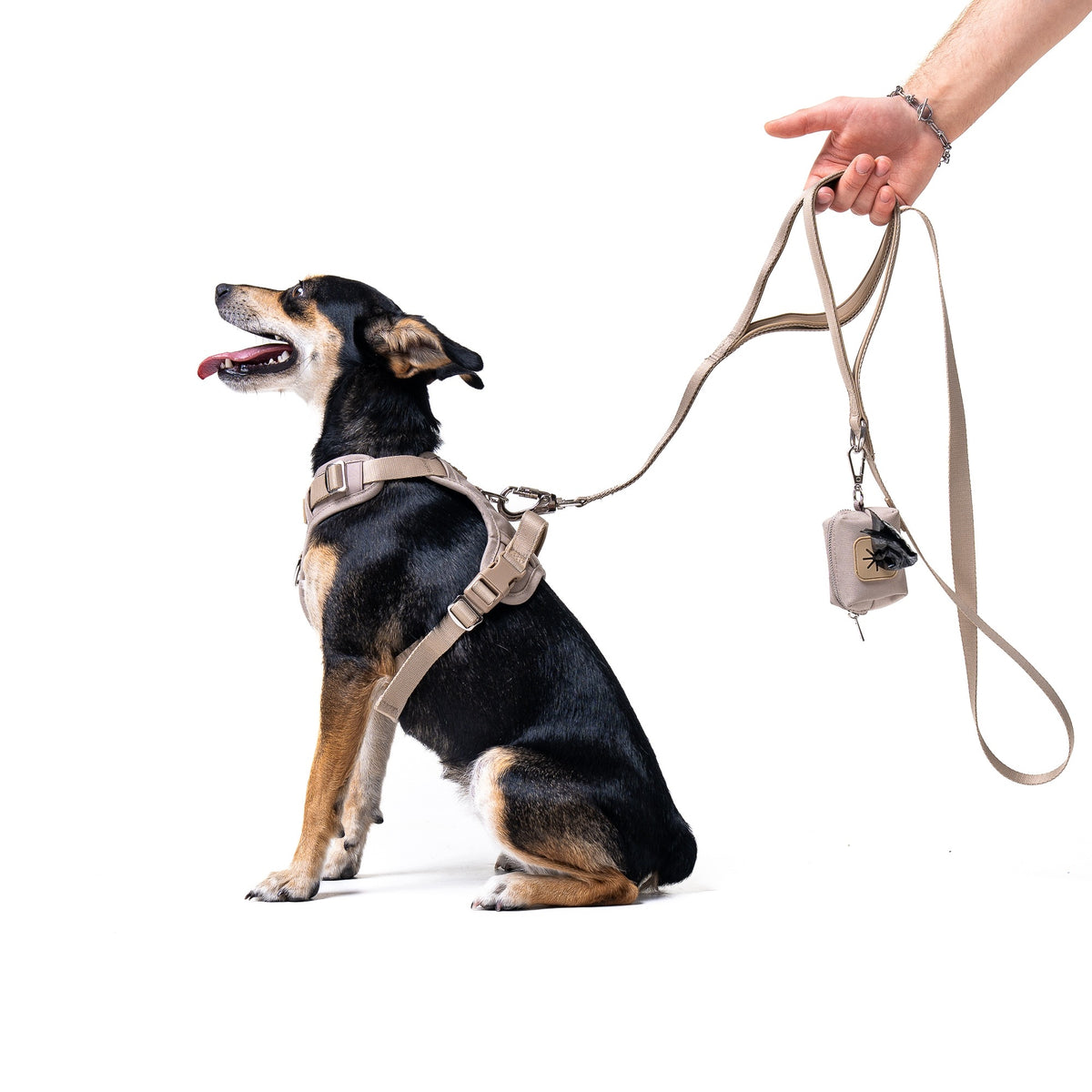 Dog Leash 152cm Supa Paws Supa Leash Latte Packaging status original