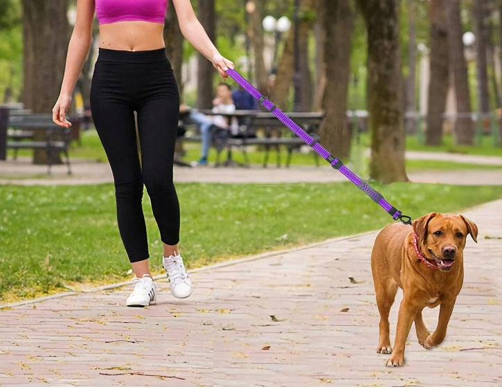 Dog Leash Adjustable With Safety 100CM Size multipurpose