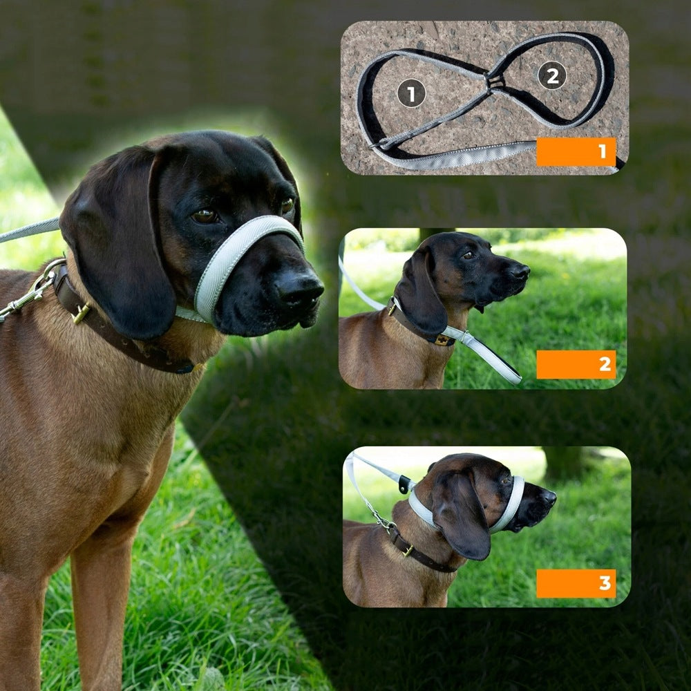 Dog Leash BEDEE 180cm 8-Shape Anti-Train Rotating Non-Slip Manufacturer code Smycz Dla Psa 180cm