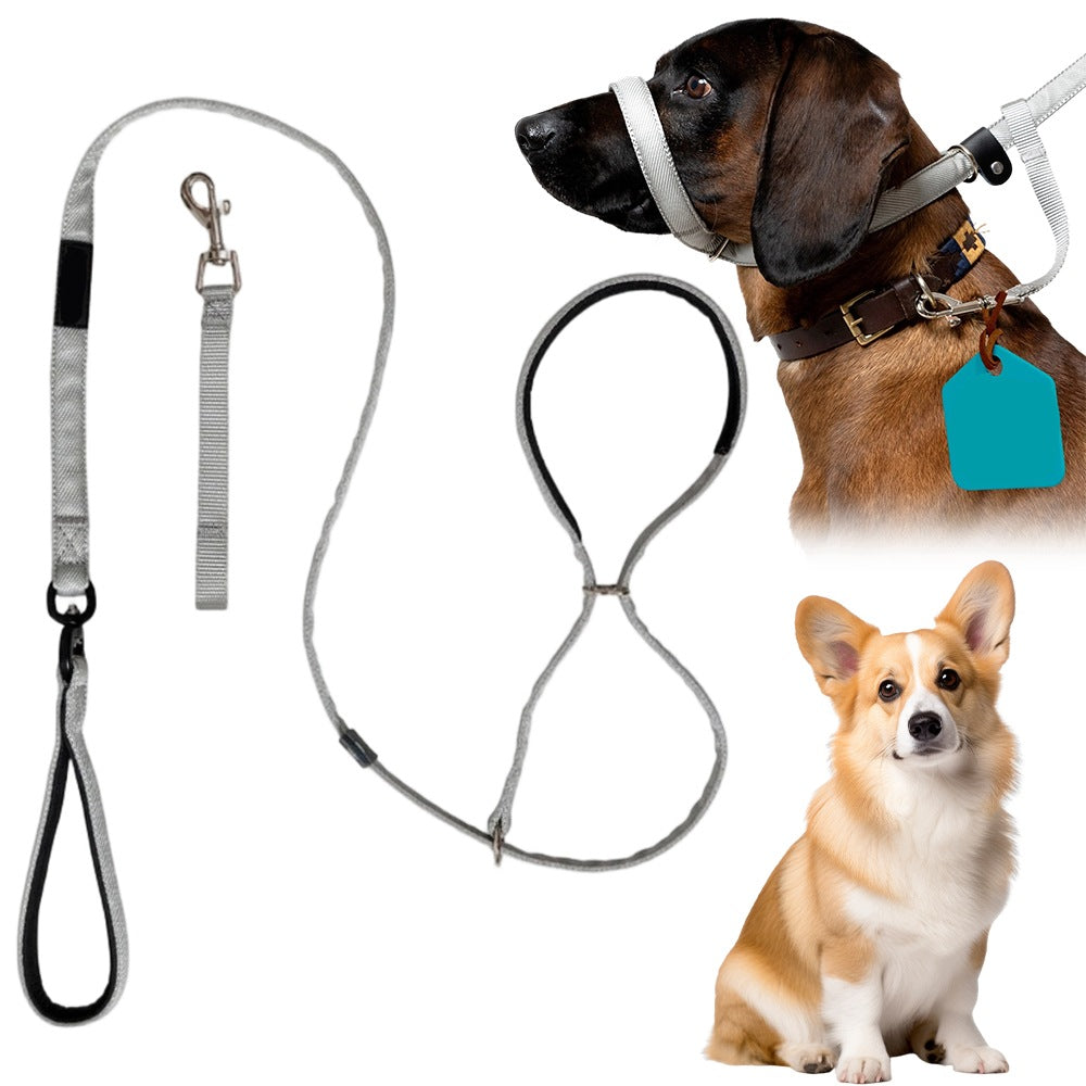 Dog Leash BEDEE 180cm 8-Shape Anti-Train Rotating Non-Slip
