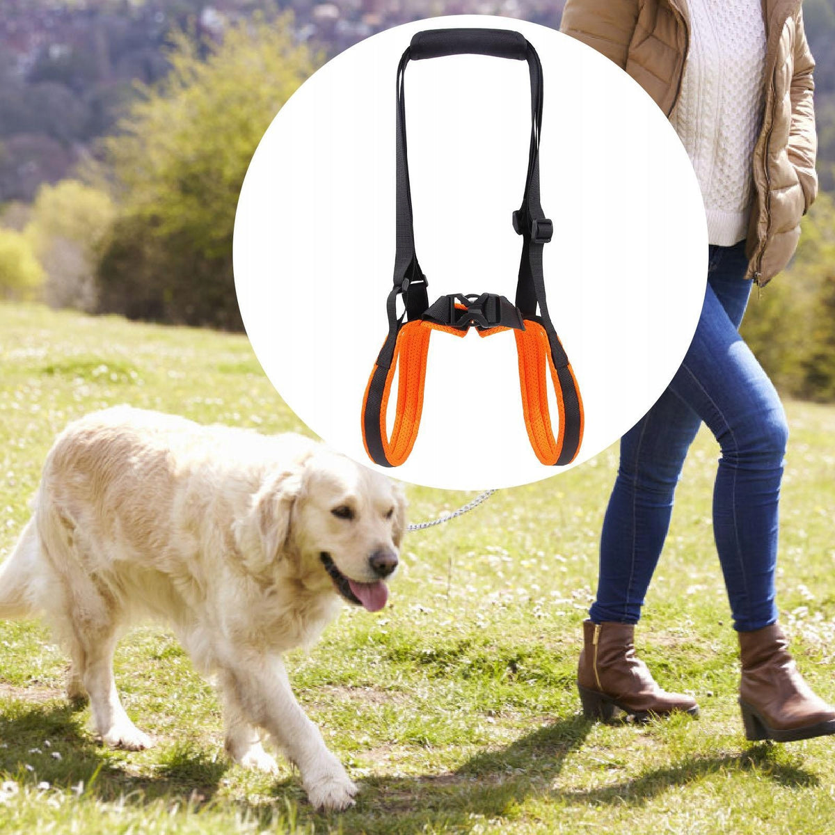 Dog Lift Harness Leg Support up Stair Seniors Rear Legs Auxiliary Dog S