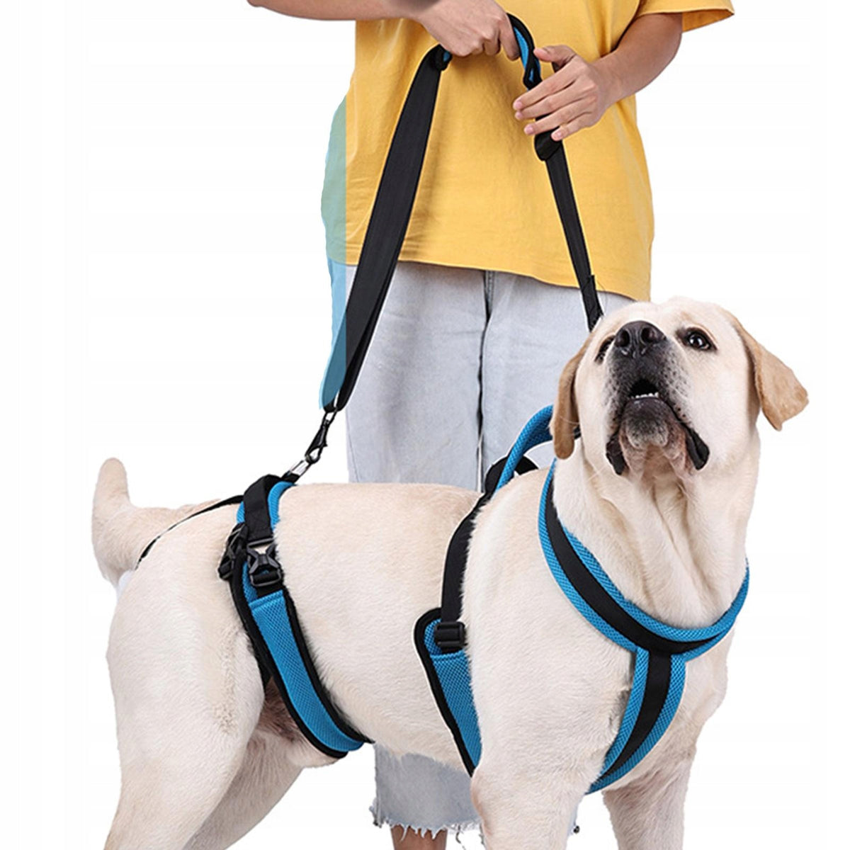 Dog Lift Harness Support Sling Auxiliary Helper Canine Aid Pets Lifts S