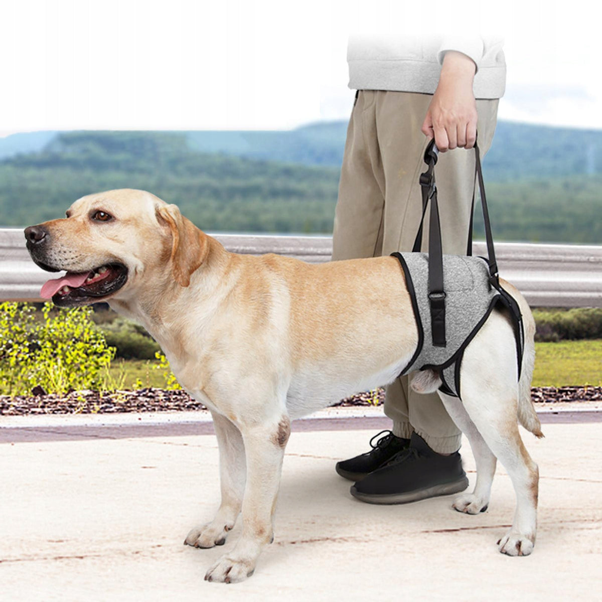 Dog Lifting Harness Auxiliary Belt Pets Assist Sling for Rear Leg for M