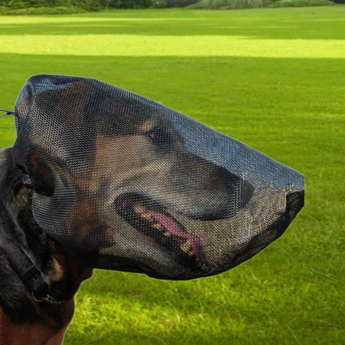 Dog Mask Protector Dog Protection Hood for Hiking Walking Outdoor XL