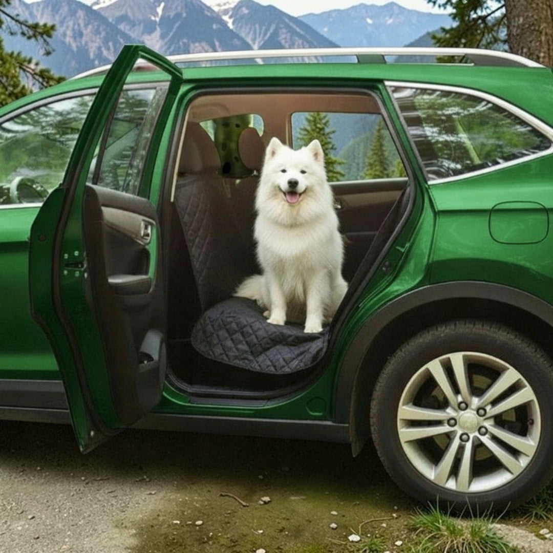 Dog Mat for Car Cover Seat Cover Brand Cadro