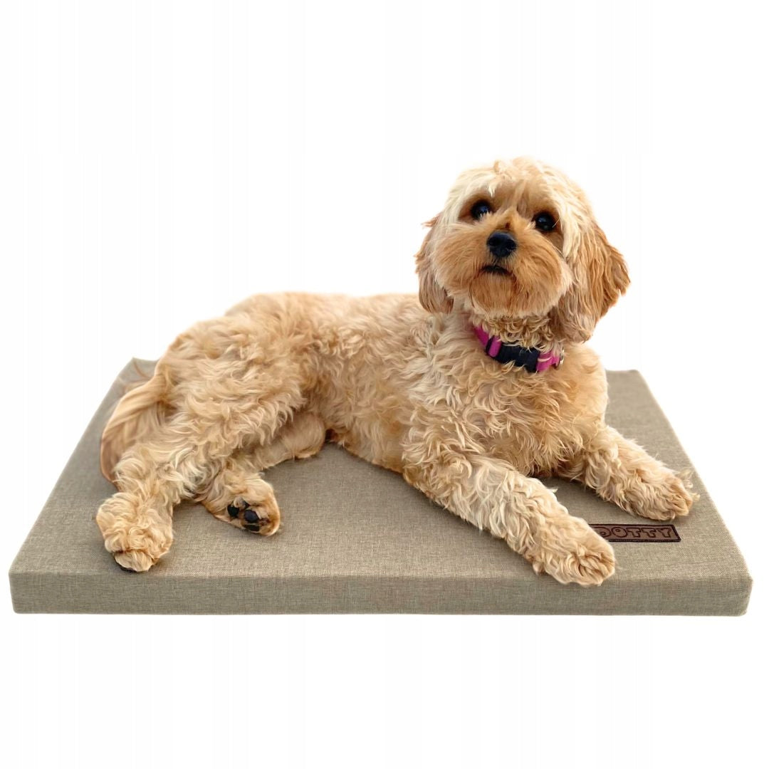 Dog Mat for Transporter Cage Mattress Trunk Bed Foam Trade name DOTTY mata do klatki kennelowej wystawowej - materac do bagażnika na taras balkon - mata piankowa XL