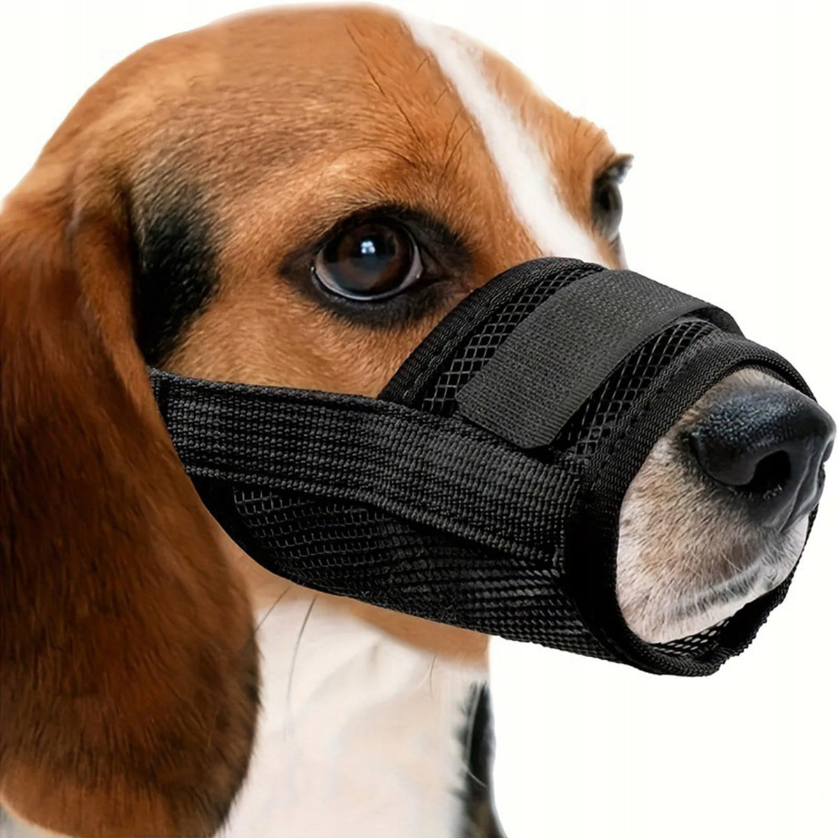 Dog Muzzle for Small, Medium & Large Dogs Breathable Anti Barking XXL Packaging status original