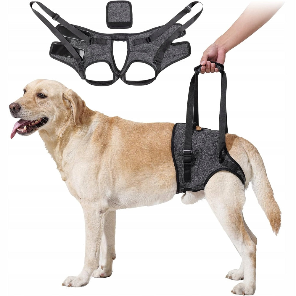 Dog Sling, Hind Leg Support Harness, for Elderly Injured Dogs, Grey, L