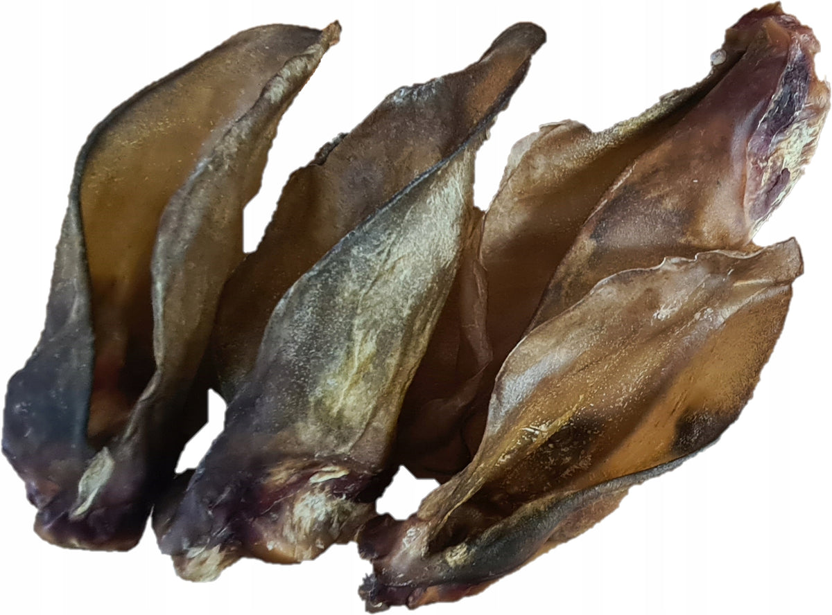 Dog Teether Beef Ear Natural 10 PCS
