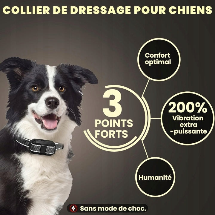 Dog Training Collar with Remote Control Vibration Sound Range 3000m High Power Packaging status original