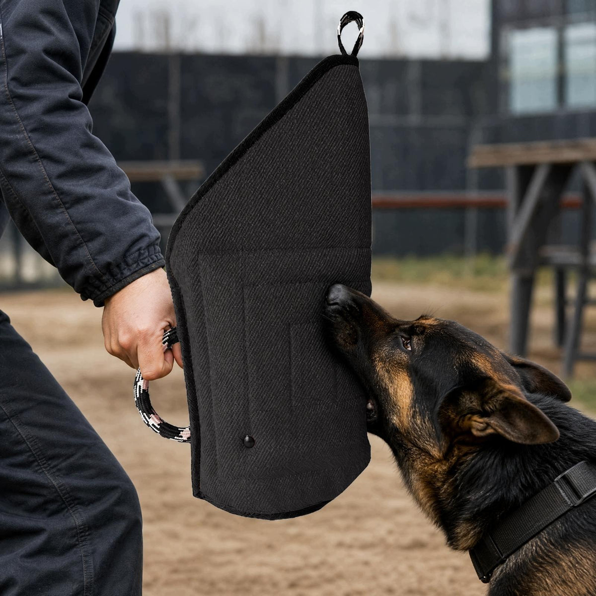 Dog Training Equipment Outdoor Dog Training Shielded Orange 2 PIECE SET Packaging status original