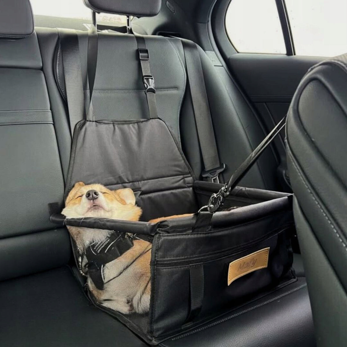 Dog Transporter Car Seat Protective Mat STRONG + ENGRAVING FREEBIE Brand DOGESTE