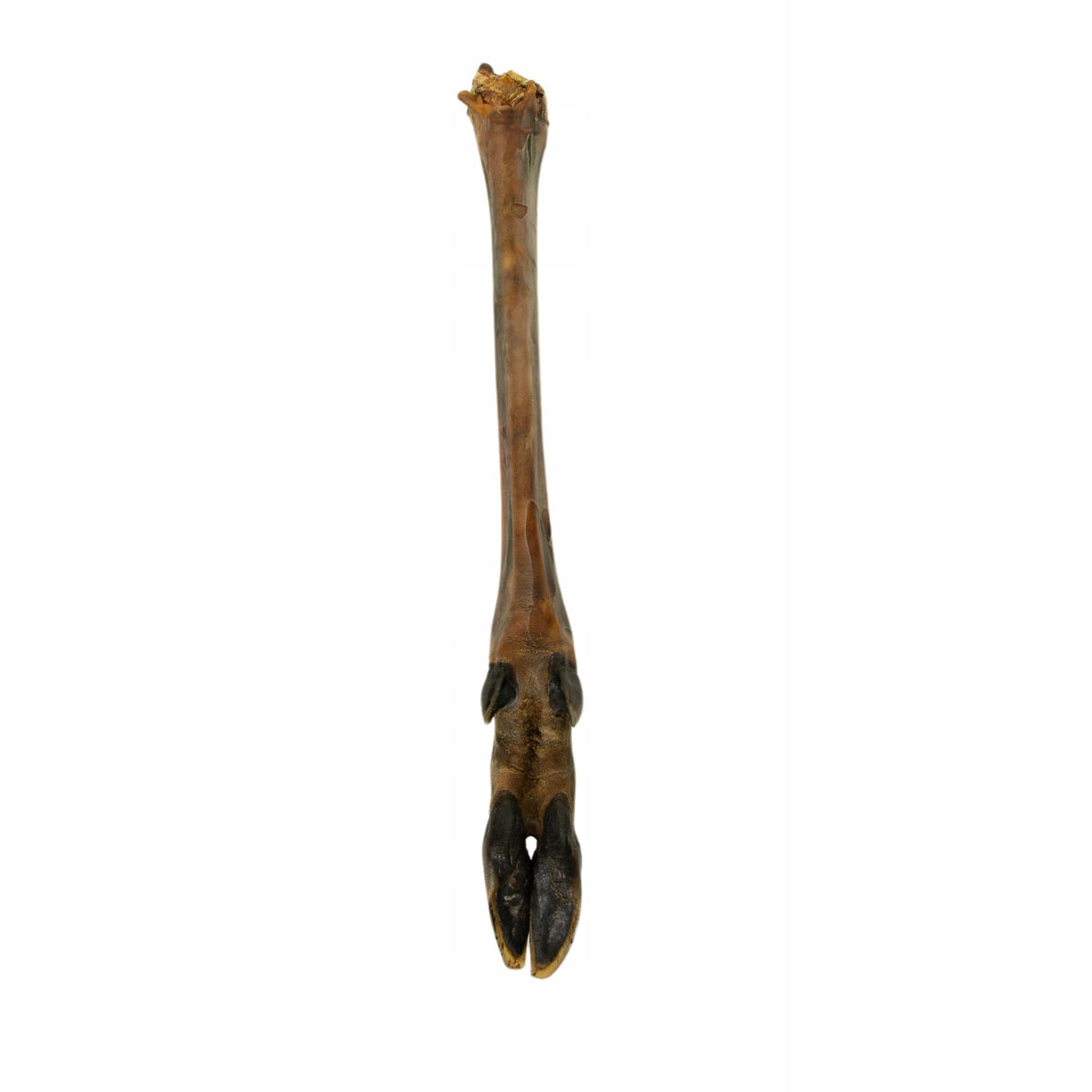 Dog Treat Natural Nekko Teether Smoked Leg Deer Racica 1pc. Flavor deer