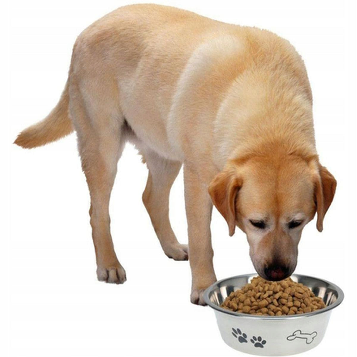 Dog and Cat Bowl Stainless Steel Diameter 24cm Dogs Collection Trade name Wklad do miski