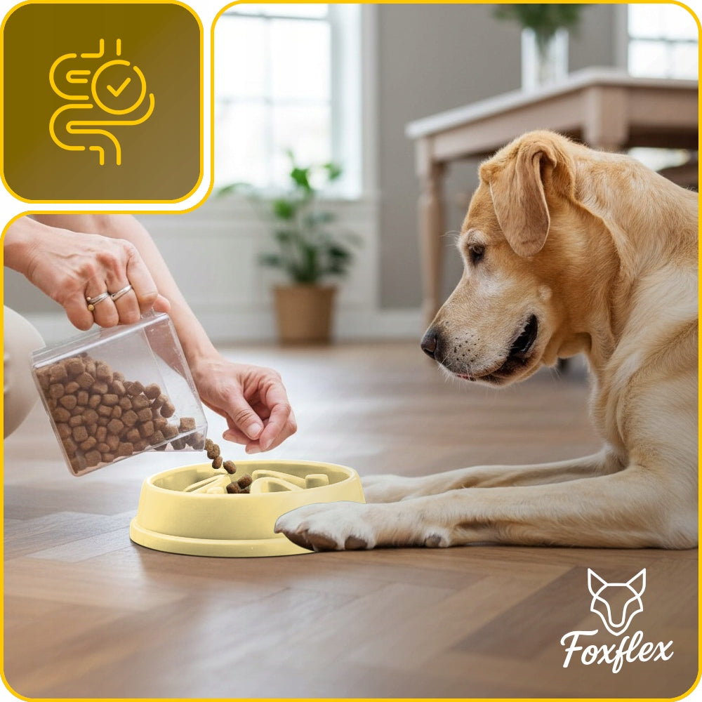 Dog and cat bowl slowing down food large interactive maze Packaging status original