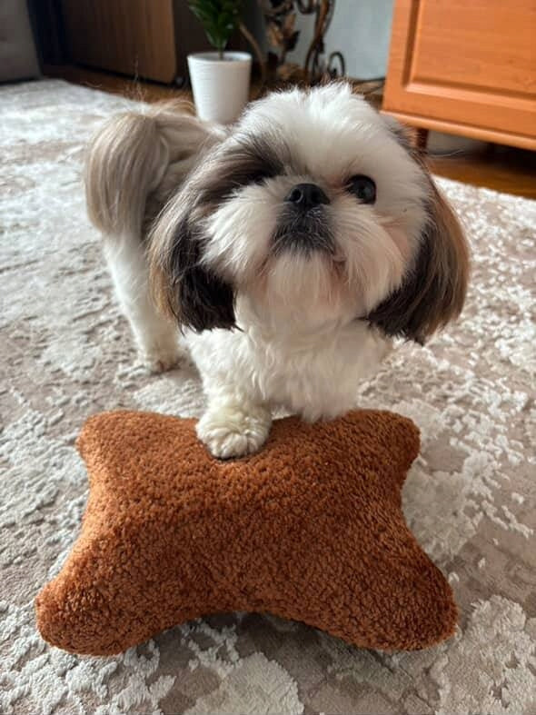 Dog and cat pillow for sleeping soft comfortable great quality and comfort! Packaging status original