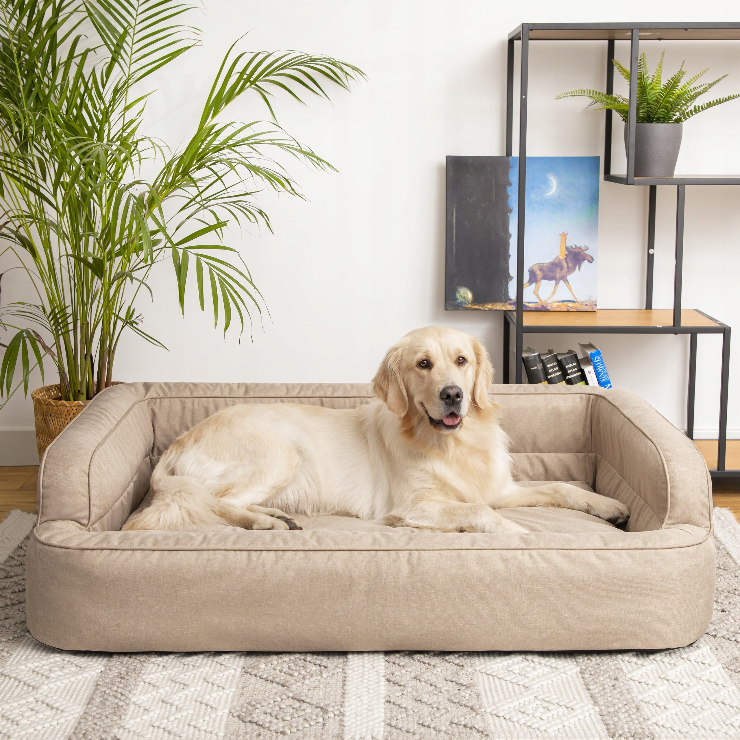 Dog bed Couch bed, rectangular mattress with pillow 80x50cm EAN (GTIN) 5903991537980