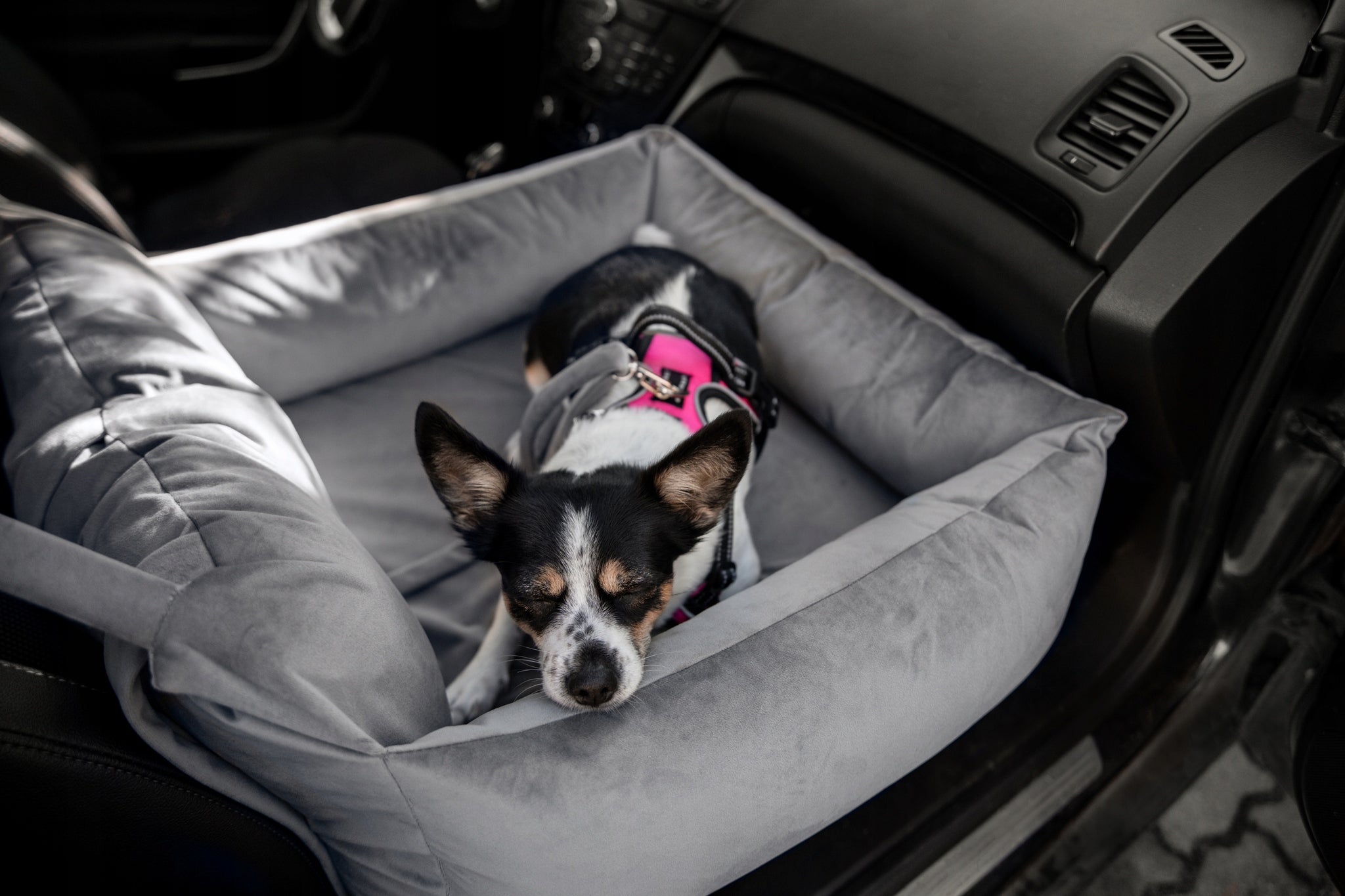 Dog car seat for car transporter cocker HUGGY DOGGY XL Manufacturer code Fotelik samochodowy dla psa do auta SNUG