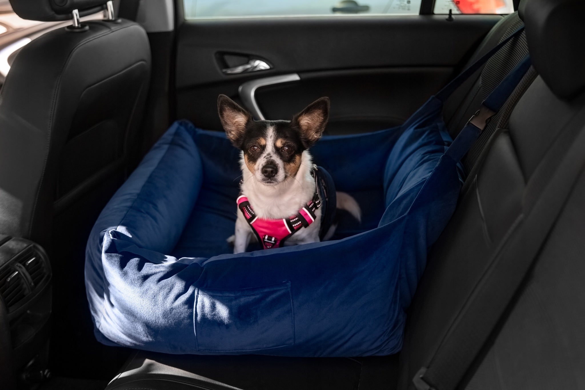 Dog car seat for car transporter cocker HUGGY DOGGY XL Trade name Fotelik samochodowy dla psa do auta transporter cocker HUGGY DOGGY XL spaniel border collie buldog