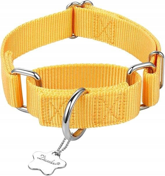 Dog collar CE r. M