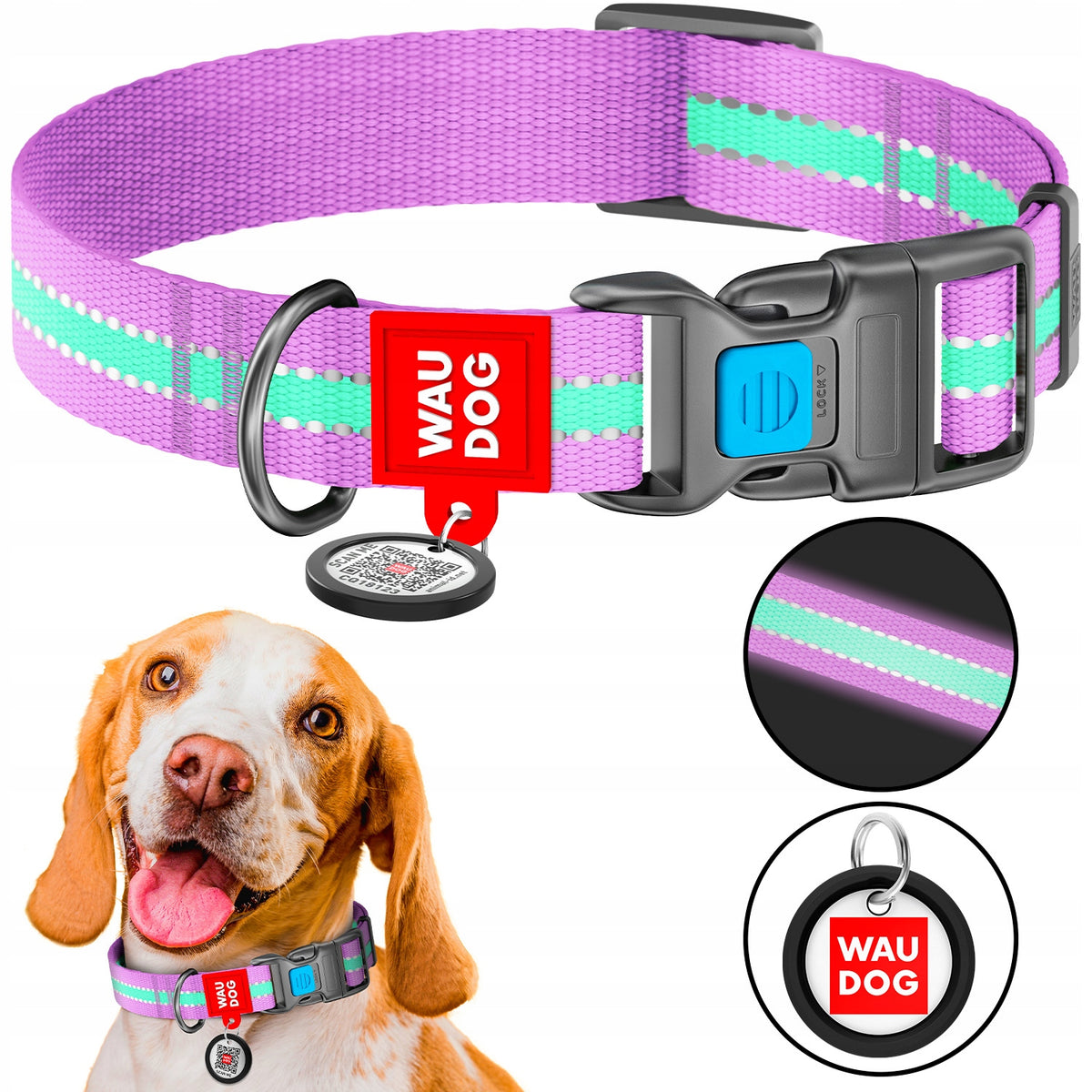 Dog collar accumulating light, reflective + QR ADDRESS FREEBIE, S