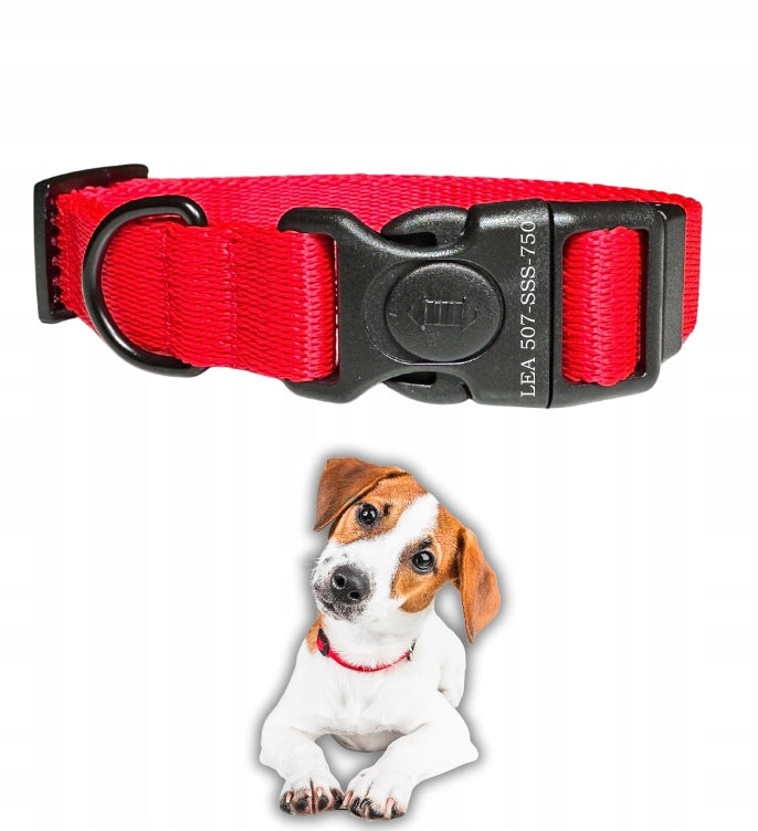 Dog collar, buckle with lock and address card -S/M - DRAPULA