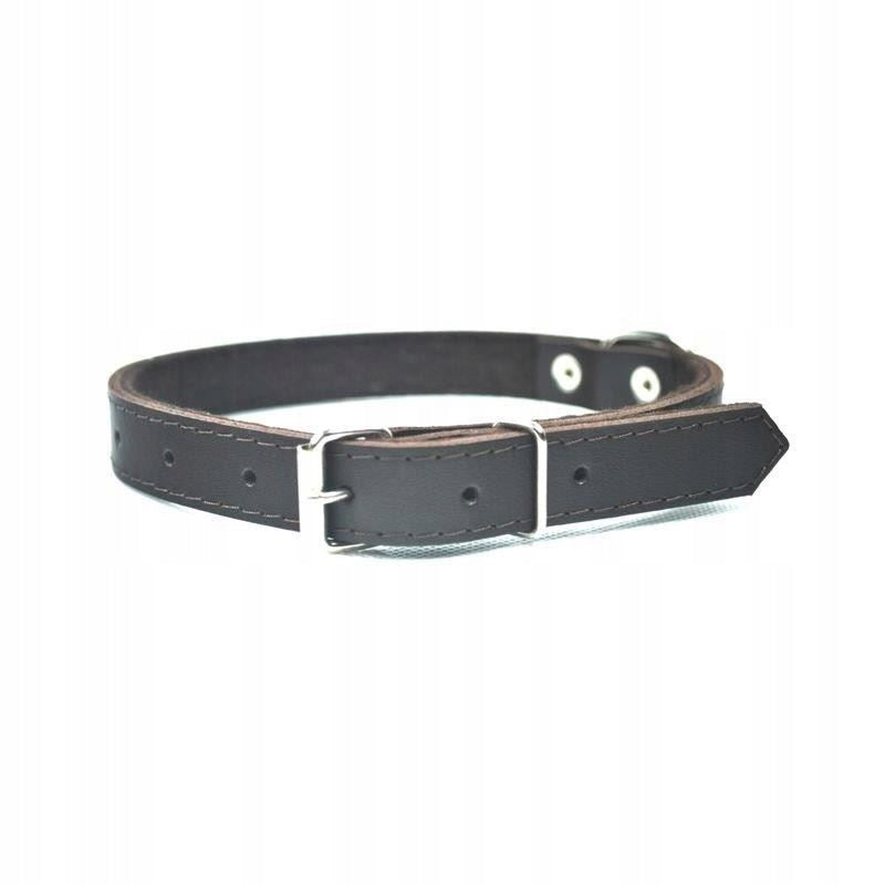 Dog collar leather Chaba r. XXL