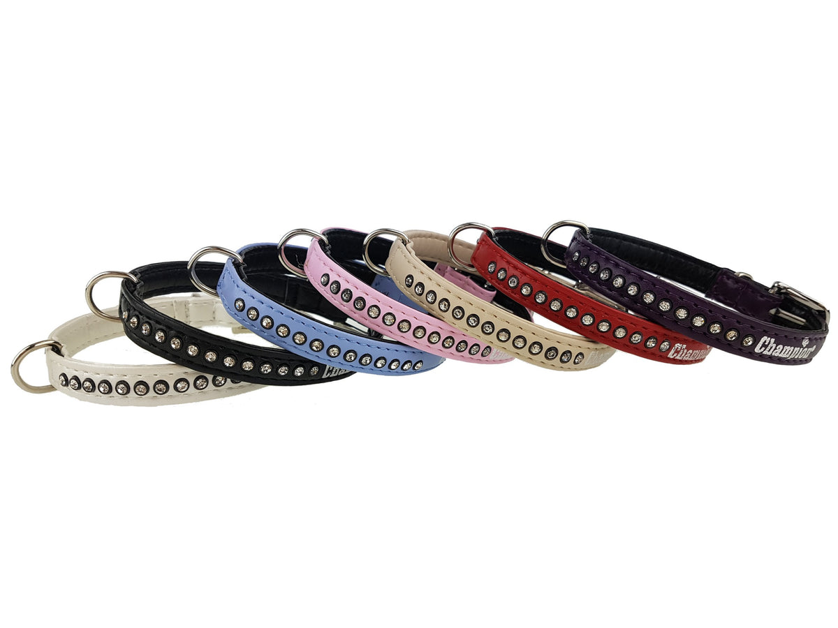 Dog collar leather Champion size XS