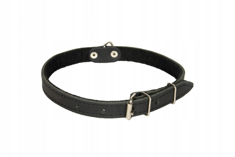Dog collar leather Chico r. XL Brand Chico