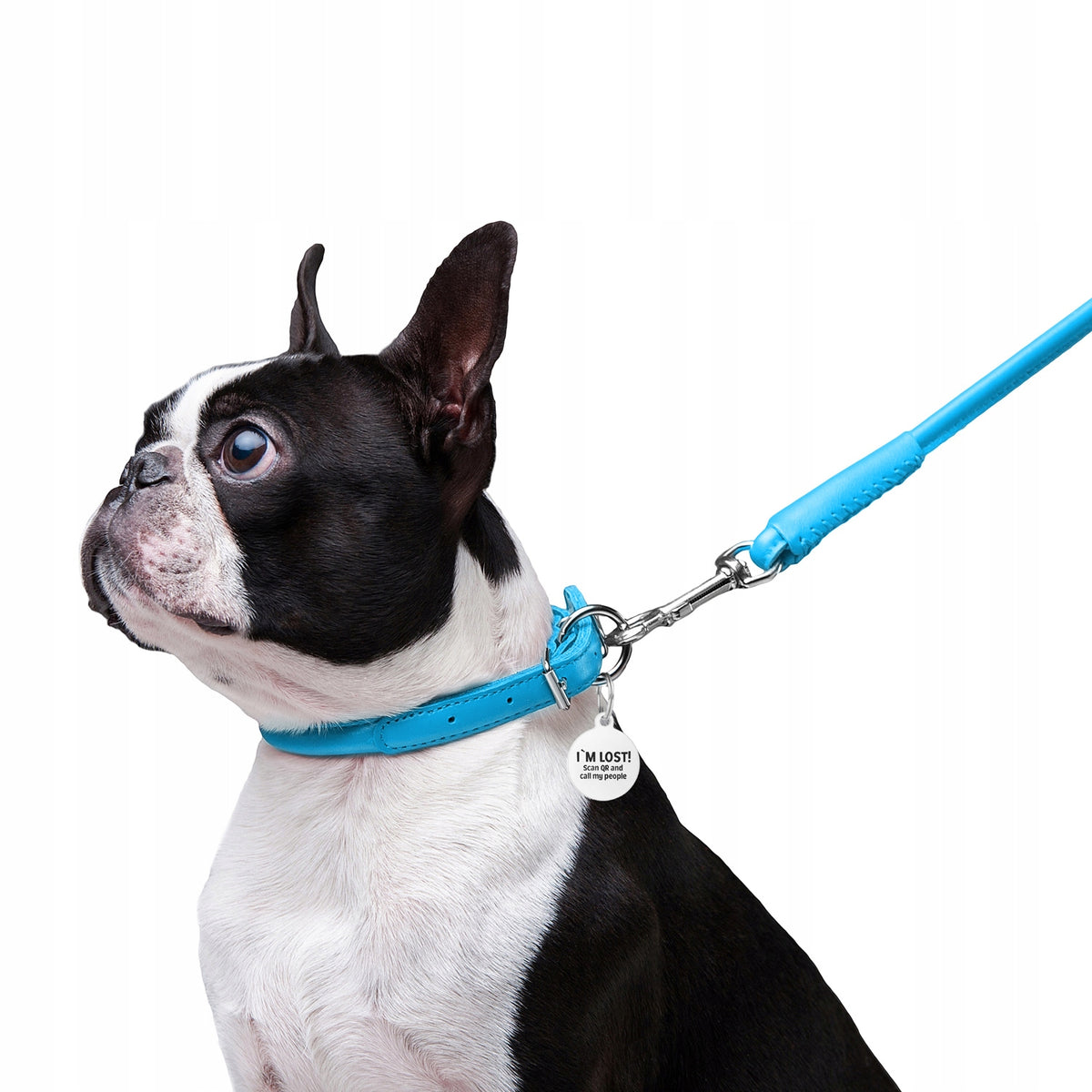 Dog collar leather + QR ADDRESS FREEBIE, blue, r. XXS Packaging status original