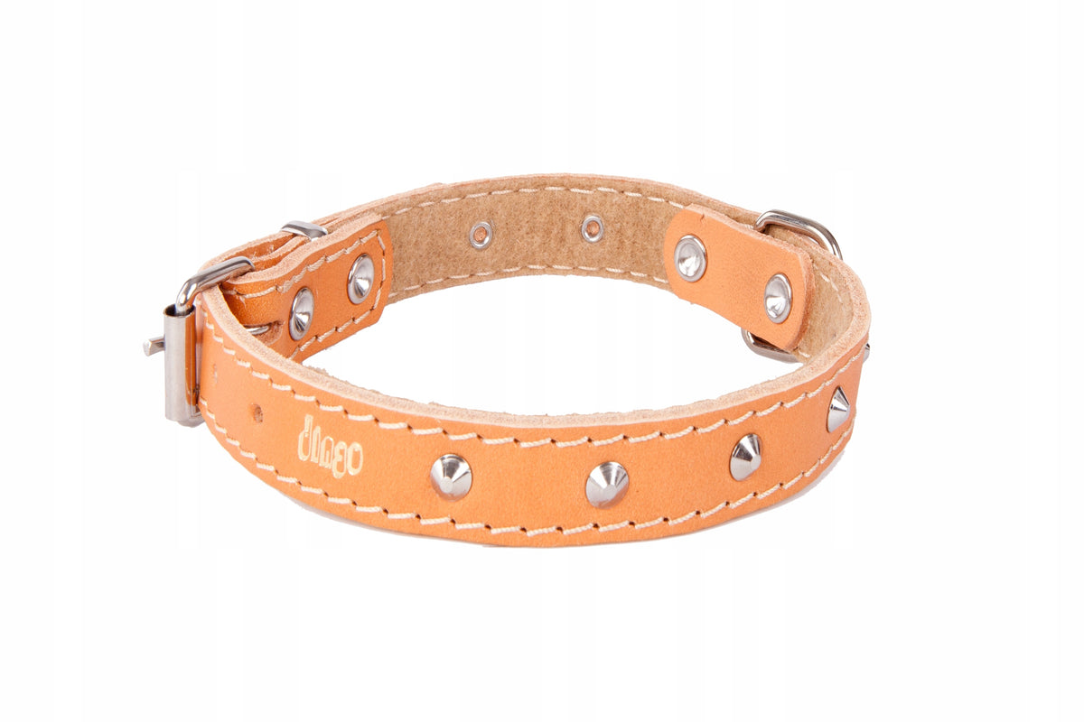 Dog collar leather beige with studs Dingo M dimensions 2 x 50 cm PL mag