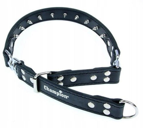 Dog collar leather earring Champion r. M