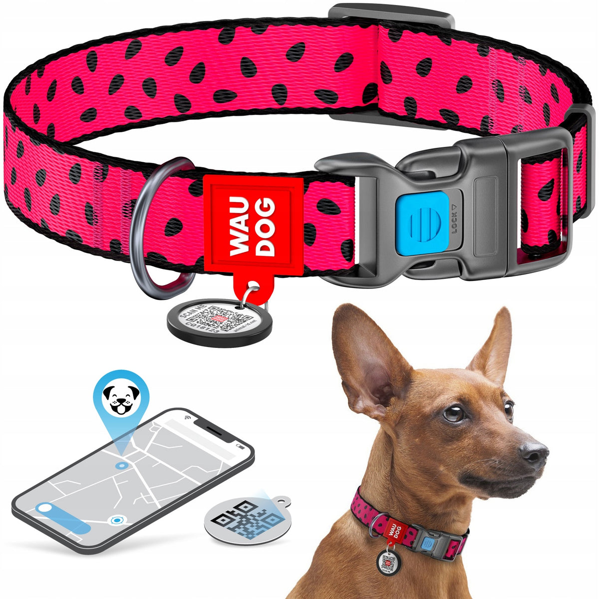 Dog collar light nylon with QR code, Watermelon pattern, fastex buckle, r. M