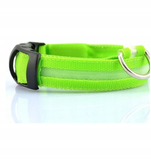 Dog collar material glowing r. XL - blue Manufacturer code LED ROZMIAR DO WYBORU