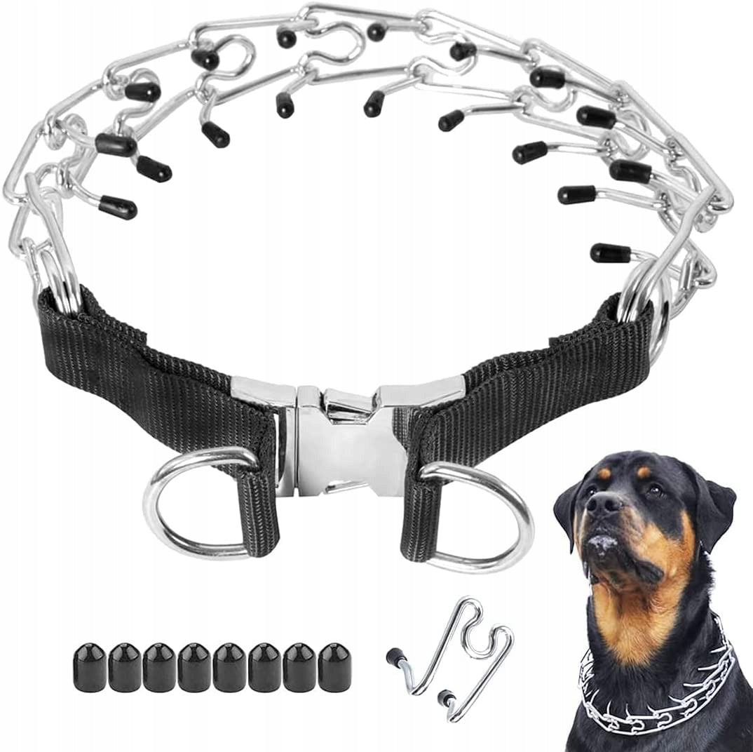 Dog collar metal earring r. XL