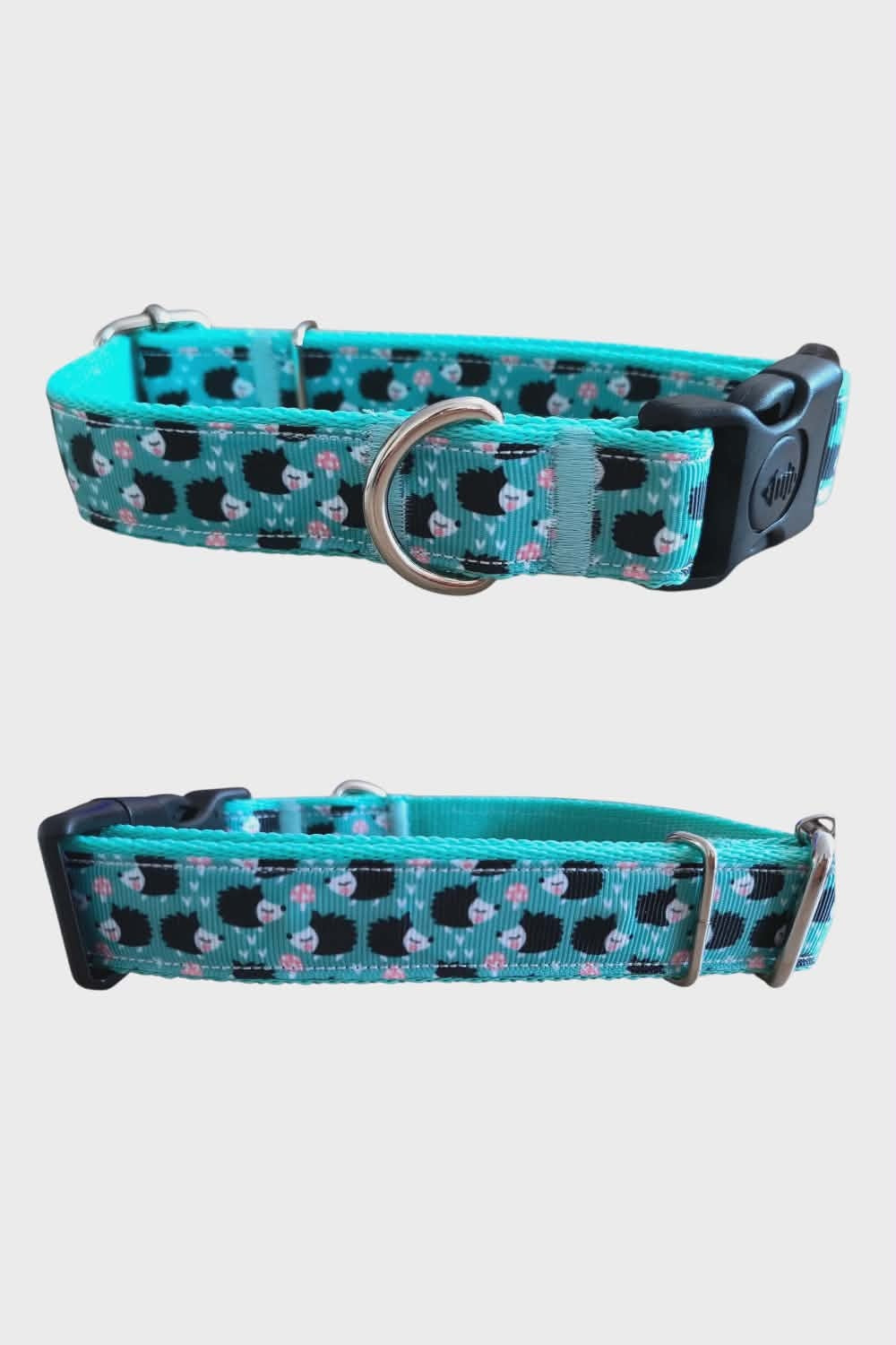 Dog collar with lock