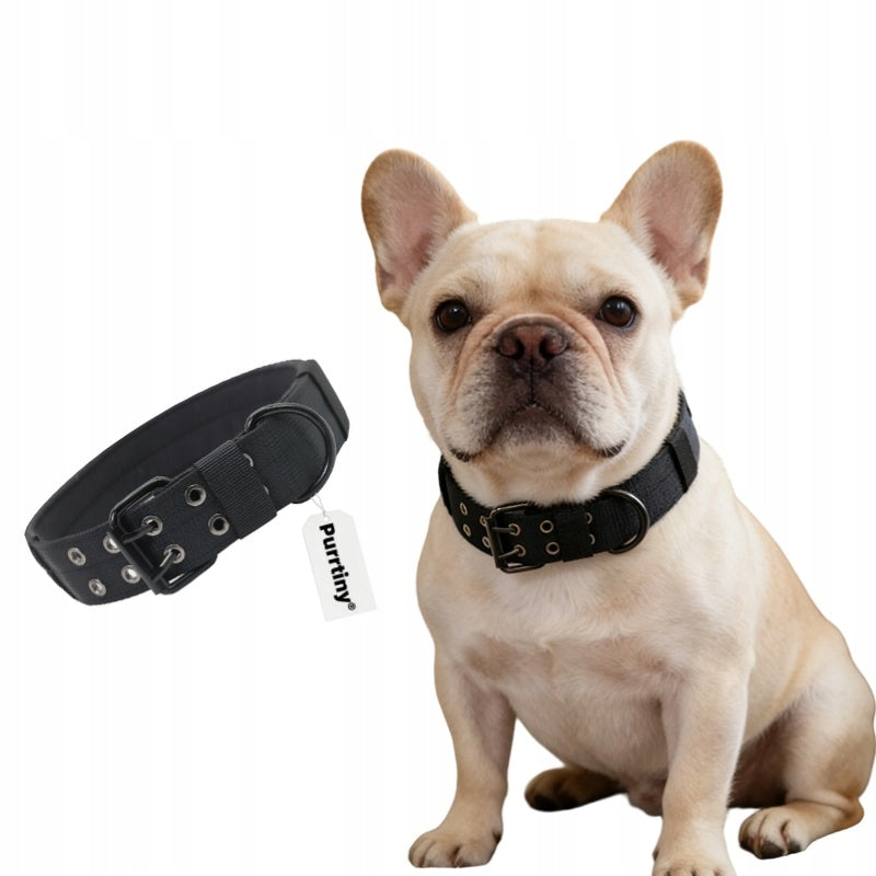 Dog collar with strap with handle wide strong adjustable L 42-54