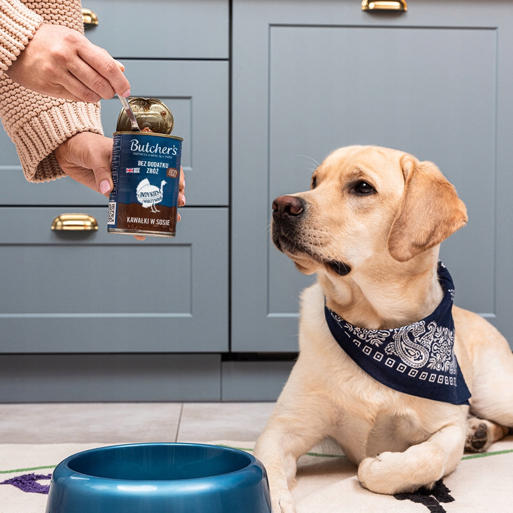 Dog food Butcher's 10 x 400 g turkey Product weight 4 kg