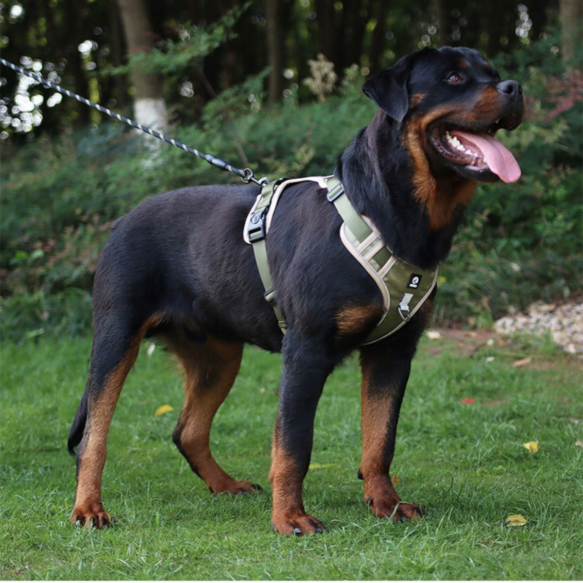 Dog harness+1.5M Dog Leash ,No Pull,Adjustable Reflective Oxford,SIZE:S Color multicolor