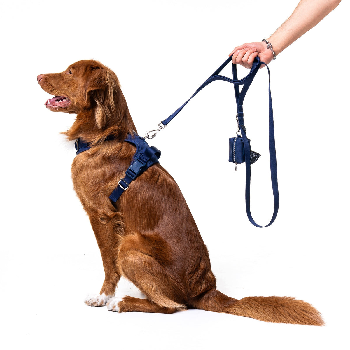 Dog leash 152cm Supa Paws Supa Leash Midnight Blue Garnet Packaging status original